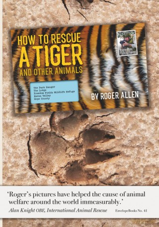 How to Rescue a Tiger: And Other Animals - Rodger Allen [KSIĄŻKA]