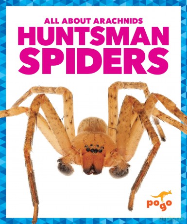 Huntsman Spiders (All About Arachnids) - Jenna Lee Gleisner [KSIĄŻKA]