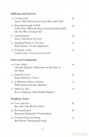 Hurricanes Roar: 30 Reflections on Black Spiritual Poetry - Elizabeth Dodd [KSIĄŻKA]