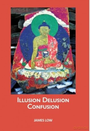 Illusion delusion confusion: Navigating the Buddhist middle way through the illusory nature of experience. - James Low [KSIĄŻKA]