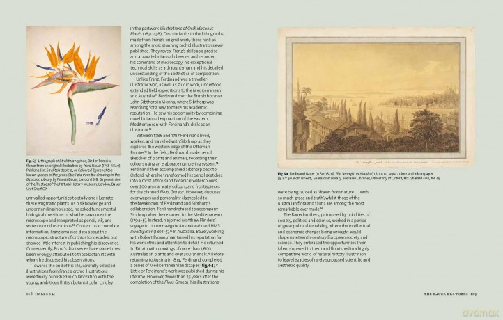 In Bloom: How Plants Changed Our World (Exhibition Catalogue) - Stephen (Ed) Harris [KSIĄŻKA]