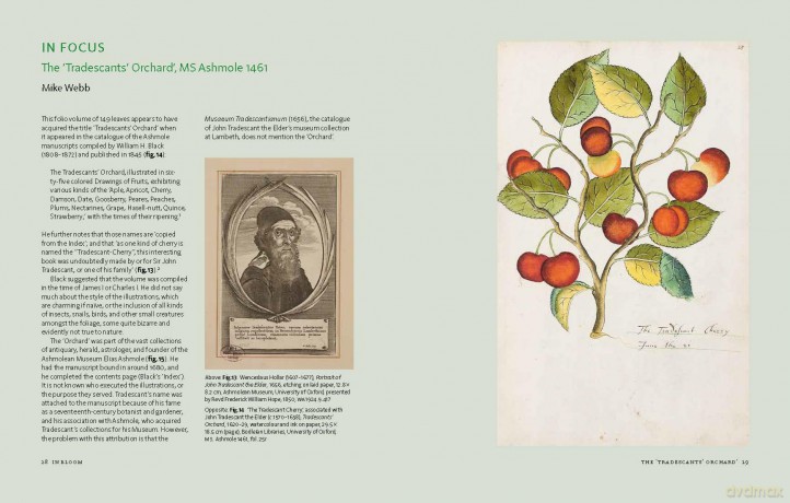 In Bloom: How Plants Changed Our World (Exhibition Catalogue) - Stephen (Ed) Harris [KSIĄŻKA]