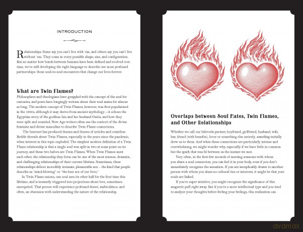 In Focus Twin Flames: Your Personal Guide - Sabina Strauss [KSIĄŻKA]
