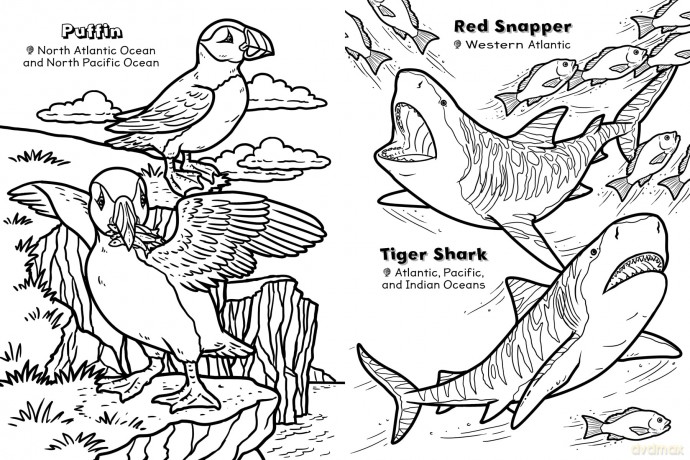 Incredible Oceans Colouring Book: Amazing Sea Creatures from around the World to Discover and Colour (Bumper Colouring Books) [KSIĄŻKA]