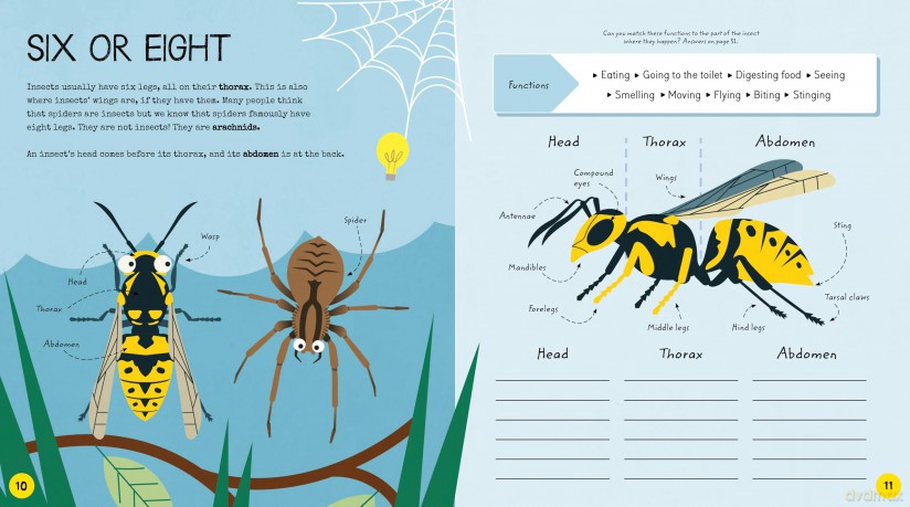 Insects Activity Book: Activities for Little Entomologists (STEM Starters for Kids) - Sam Hutchinson [KSIĄŻKA]