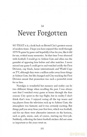 Into the Big Time: The Story of Bristol City's 1975/76 Promotion - Palmer Neil [KSIĄŻKA]