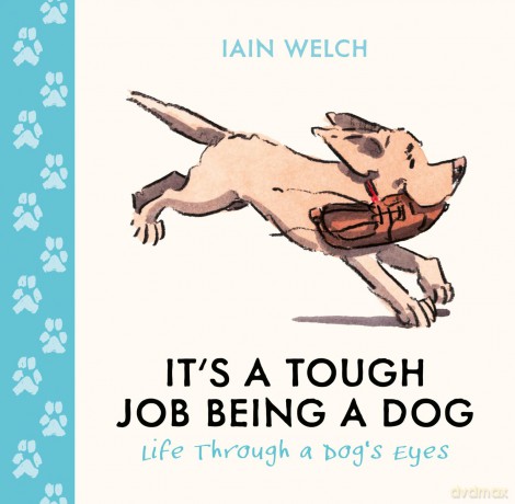 It's a Tough Job Being a Dog: Being Man's Best Friend Is No Walk in the Park. A beautiful gift with heart-warming illustrations - Iain Welch [KOMIKS]