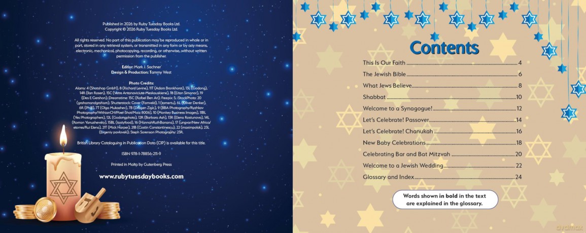 Judaism, This is Our Faith (My World Your World) - Ruth Owen [KSIĄŻKA]