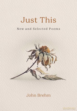 Just This: New and Selected Poems - John Brehm [KSIĄŻKA]
