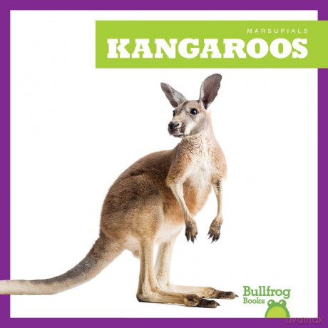 Kangaroos (Marsupials) - Natalie Deniston [KSIĄŻKA]