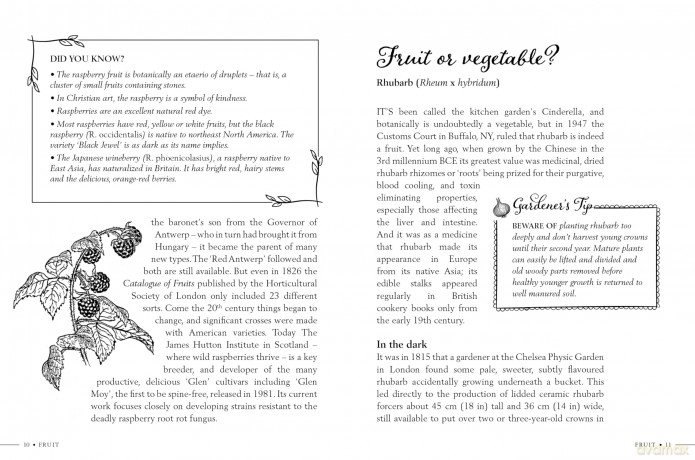 Kitchen Garden Secrets: The extraordinary stories of vegetables and fruit revealed - Ruth Binney [KSIĄŻKA]