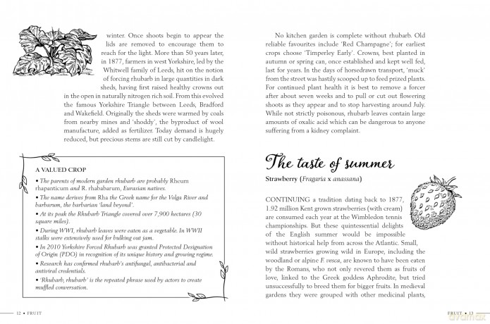 Kitchen Garden Secrets: The extraordinary stories of vegetables and fruit revealed - Ruth Binney [KSIĄŻKA]