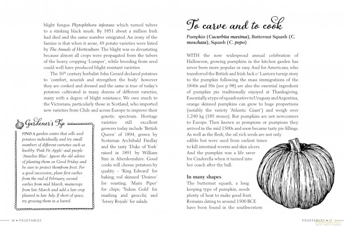 Kitchen Garden Secrets: The extraordinary stories of vegetables and fruit revealed - Ruth Binney [KSIĄŻKA]