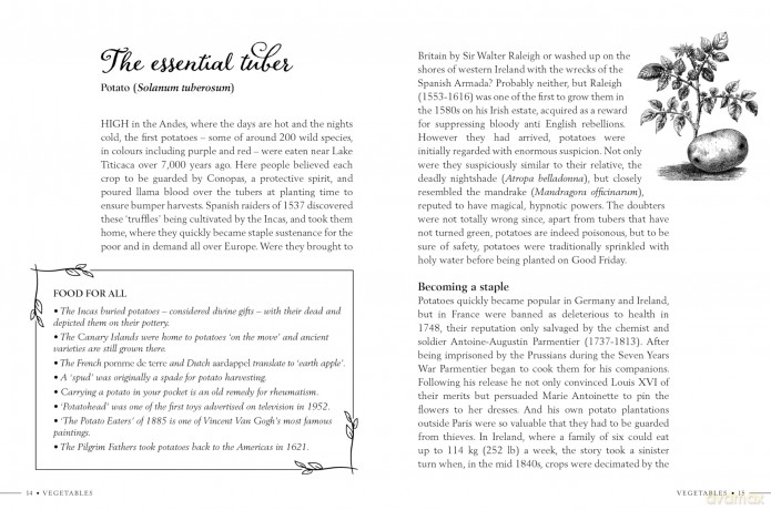 Kitchen Garden Secrets: The extraordinary stories of vegetables and fruit revealed - Ruth Binney [KSIĄŻKA]