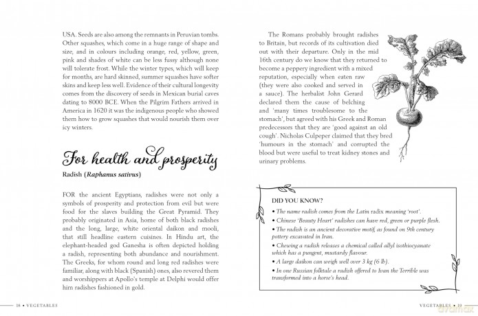 Kitchen Garden Secrets: The extraordinary stories of vegetables and fruit revealed - Ruth Binney [KSIĄŻKA]