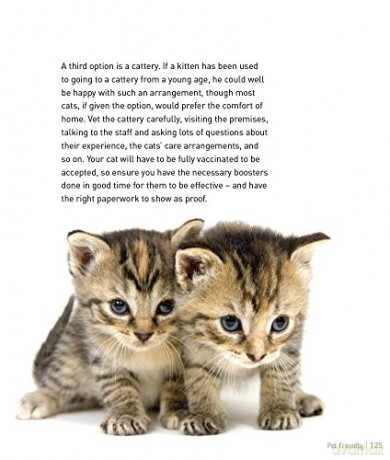Kittens - Pet Friendly: Understanding and Caring for Your Pet - Clair Horton-Bussey [KSIĄŻKA]