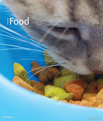 Kittens - Pet Friendly: Understanding and Caring for Your Pet - Clair Horton-Bussey [KSIĄŻKA]