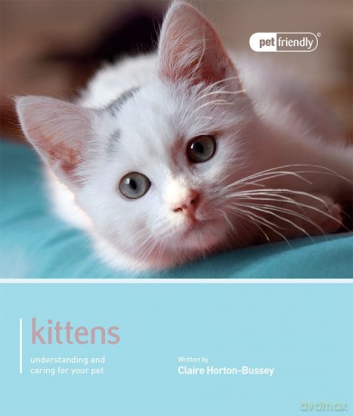 Kittens - Pet Friendly: Understanding and Caring for Your Pet - Clair Horton-Bussey [KSIĄŻKA]