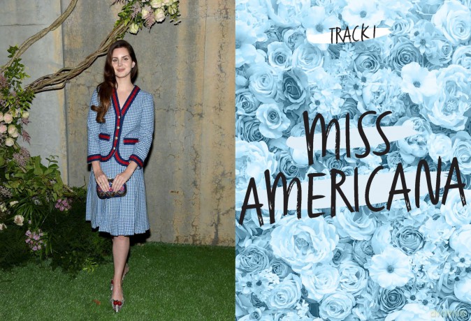 Lana Del Rey: A Vibrant Journey Through the Career and Influence of the Timeless Indie-Pop Icon (Fierce and Fearless) - Selena Fragassi [KSIĄŻKA]