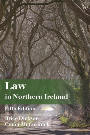Law in Northern Ireland - Brice Dickson Conor [KSIĄŻKA]
