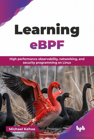 Learning eBPF: High performance observability, networking, and security programming on Linux (English Edition) - Michael Kehoe [KSIĄŻKA]