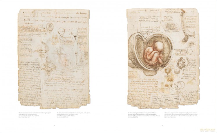 Leonardo da Vinci Atlas Anatomicus: The Royal Collection of Windsor - Martin Kemp [KSIĄŻKA]