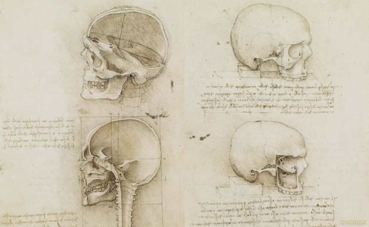 Leonardo da Vinci Atlas Anatomicus: The Royal Collection of Windsor - Martin Kemp [KSIĄŻKA]