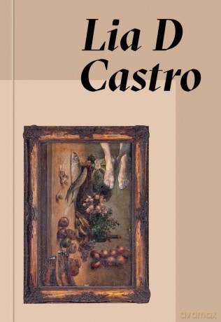 Lia D Castro: Everywhere and Nowhere - L Castro [KSIĄŻKA]