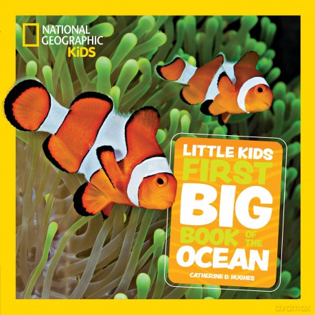 Little Kids First Big Book of The Ocean: Fact-filled fun book about amazing sea life and underwater wonders (National Geographic Kids) - Catherine D Hughes [KSIĄŻKA]