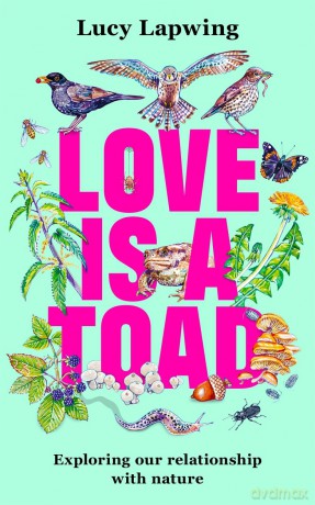 Love Is A Toad: Exploring our relationship with nature - Lucy Lapwing [KSIĄŻKA]