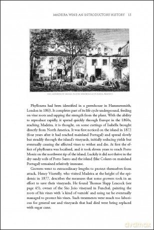 Madeira: The Islands and Their Wines (The Classic Wine Library) [KSIĄŻKA]
