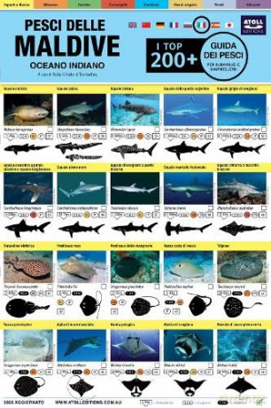 Maldive Guida Dei Pesci: I Top 200+ (Italian) - Rudie H. Kuiter [KSIĄŻKA]