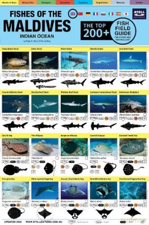 Maldives Fish Field Guide "Top 200+" - Rudie H. Kuiter [KSIĄŻKA]