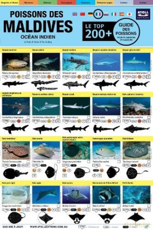 Maldives Guide Des Poissons: Le Top 200+ (French) - Rudie H. Kuiter [KSIĄŻKA]