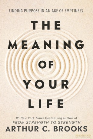 Meaning Of Your Life - Arthur C Brooks [KSIĄŻKA]