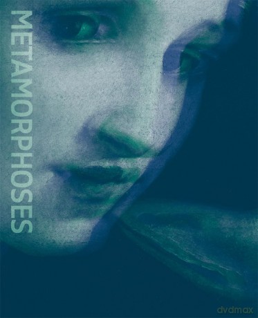 Metamorphoses: Ovid and the Arts - Fritts(Ed) Scholten [KSIĄŻKA]