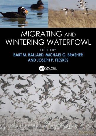 Migrating and Wintering Waterfowl - Ballard Bart M. [KSIĄŻKA]