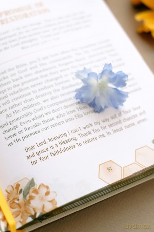 Milk and Honey for a Woman's Soul: Nourishing Devotions and Prayers - Carey Scott [KSIĄŻKA]