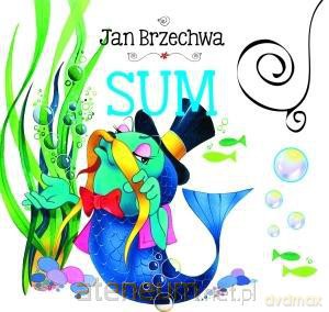 Biblioteczka niedźwiadka. Sum [KSIĄŻKA]