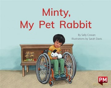 Minty, My Pet Rabbit - Saly Cowan [KSIĄŻKA]