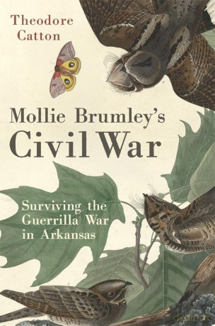 Mollie Brumley's Civil War: Surviving the Guerrilla War in Arkansas - Theodore Catton [KSIĄŻKA]