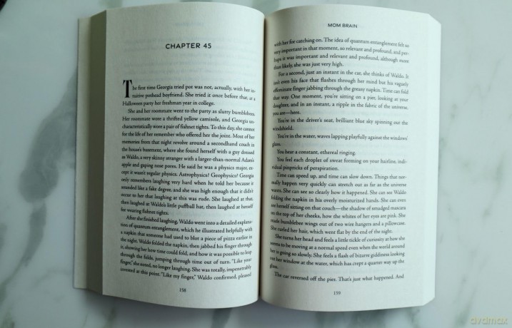 Mom Brain: A Novel - Nicole Hackett [KSIĄŻKA]