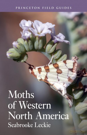 Moths of Western North America (Princeton Field Guides) - Seabrooke Leckie [KSIĄŻKA]