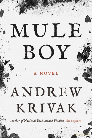 Mule Boy - Andrew Krivak [KSIĄŻKA]