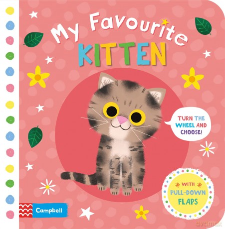 My Favourite Kitten - Daniel Roode [KSIĄŻKA]