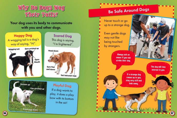 My First Big Book of Pets and Petcare - Belinda Gallagher [KSIĄŻKA]