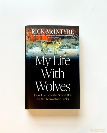 My Life With Wolves: How I Became the Storyteller for the Yellowstone Packs - Rick Mcintyre [KSIĄŻKA]