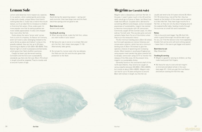 Nathan Outlaw On Fish: A Seafood Handbook - Nathan Outlaw [KSIĄŻKA]
