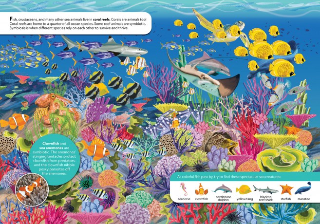 National Geographic Kids: Discover Animals Look and Find - PI Kids - Pi Kids [KSIĄŻKA]