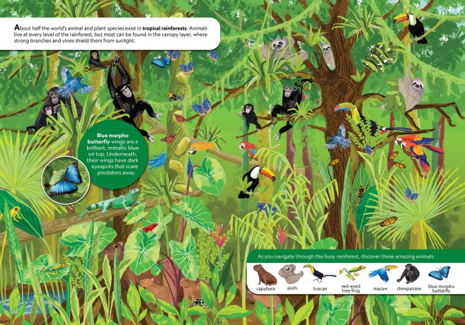 National Geographic Kids: Discover Animals Look and Find - PI Kids - Pi Kids [KSIĄŻKA]